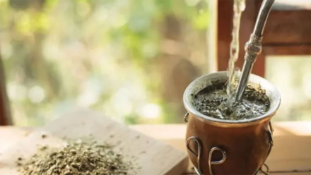 yerba3.jpg