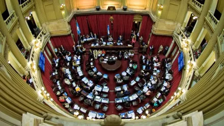 senadojpg.webp
