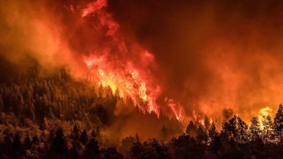 El presidente de Parques Nacionales dijo que "disminuyó el incendio" sobre el Nahuel Huapi