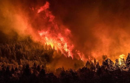forestales-incendios-nqn.jpg