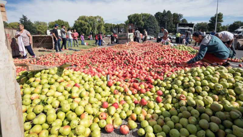 Hay peligro de desperdiciar hasta 100 millones de kilos de fruta