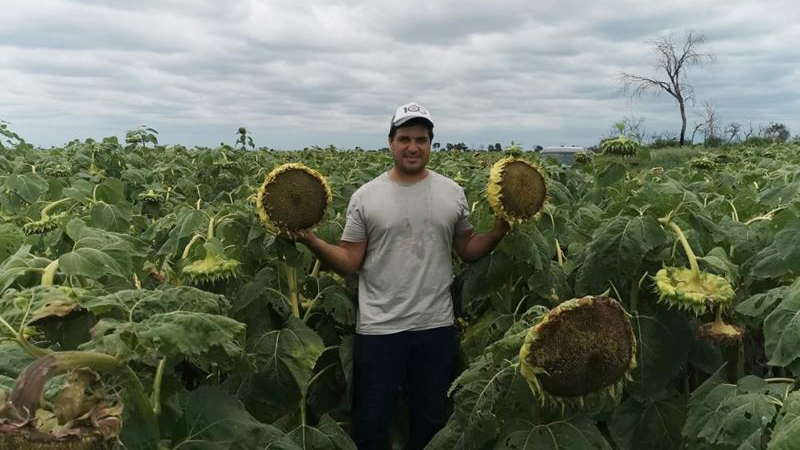 La falta de precipitaciones y el intenso calor golpean al departamento Almirante Brown