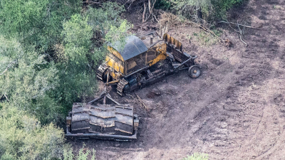 Chaco, entre las cuatro provincias que concentraron el año pasado la pérdida de bosque nativo