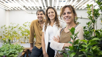 Descubrimiento con romero abre puertas a colaboración con la UE