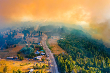 incendio-mallin4.jpg
