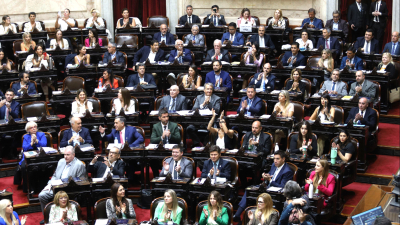 Ficha Limpia obtuvo media sanción en Diputados