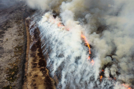 Incendios07.jpg