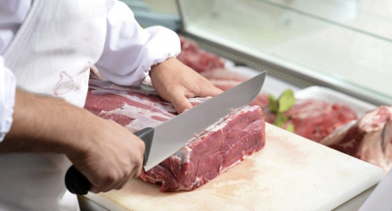 carnes.jpg