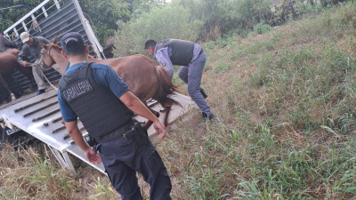 Operativo policial desmantela carreras cuadreras clandestinas en Fontana