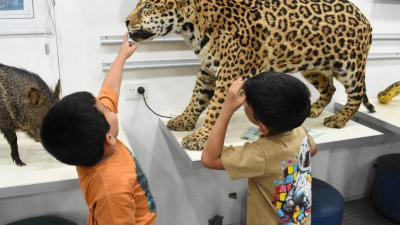 Aprender en Verano: exitosa exposición del monte chaqueño
