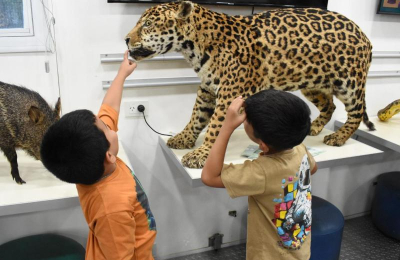 Aprender en Verano: exitosa exposición del monte chaqueño