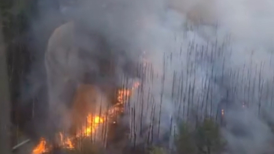 Incendio forestal en Ituzaingó, Corrientes