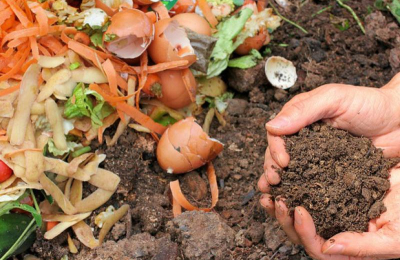 "El compost es una fuentede fertilidad muy grande"