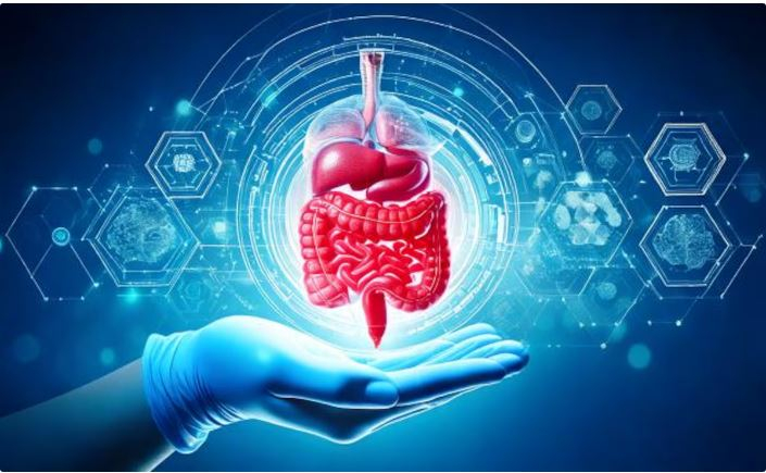 intestino 4.JPG