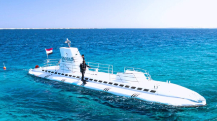 el-submarino-sindbad-se-hundio-e.jpg