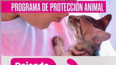 Malestar por nuevo programa de protección animal en Chaco