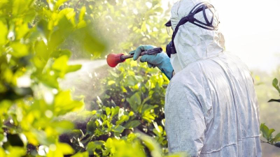 "El Rol de los Fitosanitarios en la Producción de Alimentos",  en la UNNE