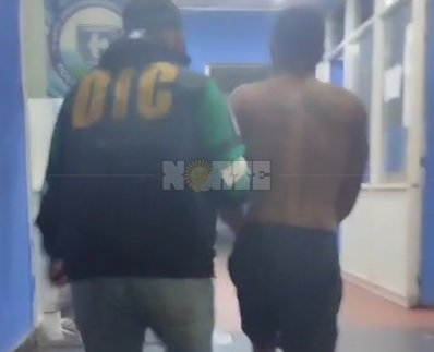 pulse.jpg