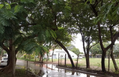 Sobrevivir en Villa Don Enrique con aguas servidas, sin colectivos, oscuridad y delincuencia