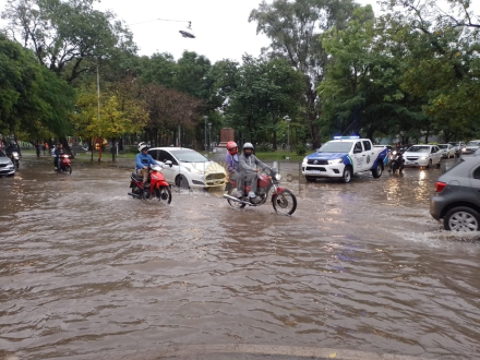 WhatsApp Image 2025-05-27 at 12.57.17.jpeg