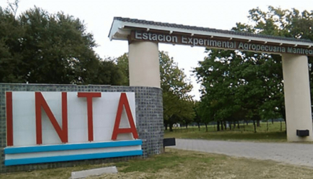 inta.jpg
