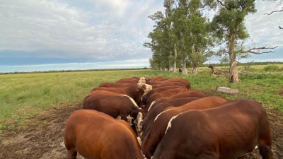 El campo en crisis necesita ser escuchado por el gobierno