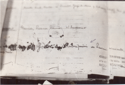 ANELLO-LIBRO.JPG