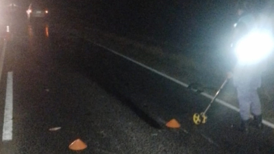 Una mujer resultó herida tras chocar contra un animal suelto en Colonia Elisa