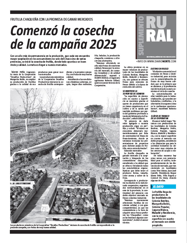 Comenzó la cosecha de la campaña 2025