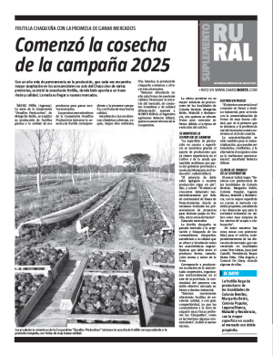 Comenzó la cosecha de la campaña 2025
