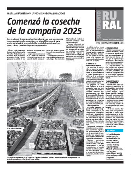 Comenzó la cosecha de la campaña 2025