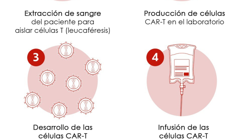 La IA diseña "misiles" inmunitarios para atacar el cáncer con precisión