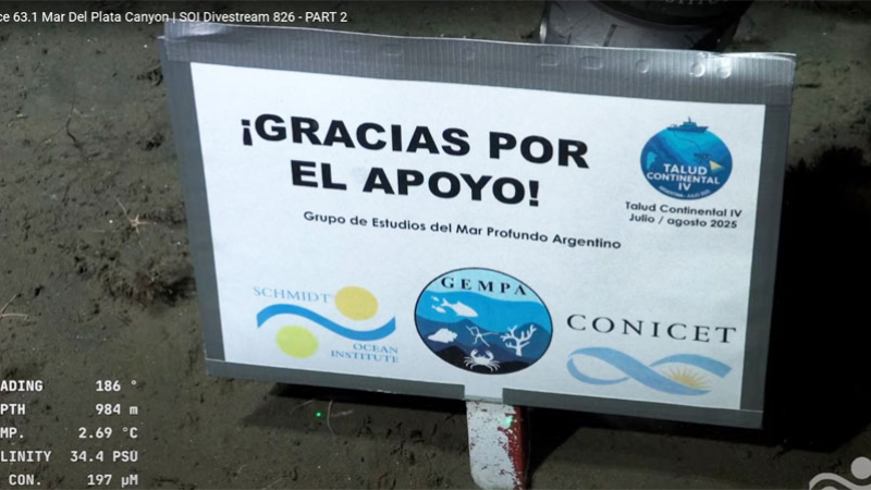 Éxito en streaming: concluyó la expedición del Conicet en Mar del Plata