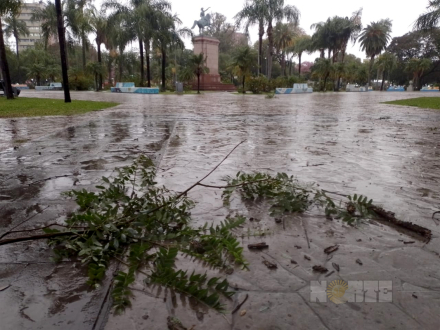 lluvia03.jpg