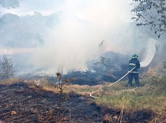 incendio monte bosque.jpeg