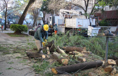 Poda controlada en Resistencia seguirá hasta fines de agosto