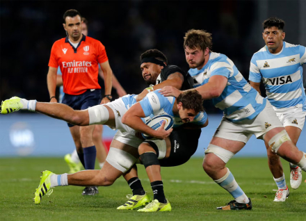 pumas2.jpg