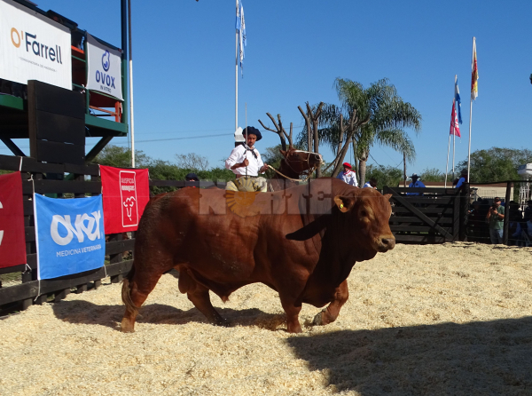 Foto: Fabian Maldonado.