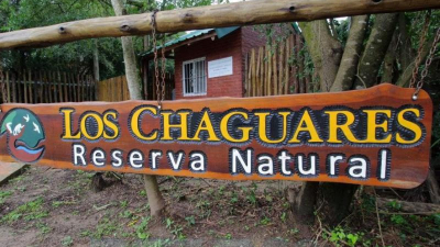 Invitan a taller sobre usos culinarios de plantas y farmacopea