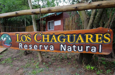Invitan a taller sobre usos culinarios de plantas y farmacopea