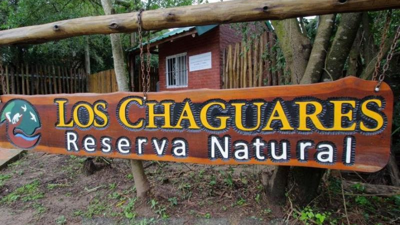 Invitan a taller sobre usos culinarios de plantas y farmacopea