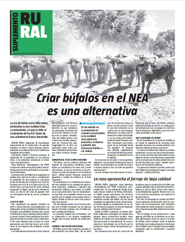 Criar búfalos en el NEA es una alternativa
