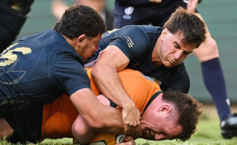 LOS PUMAS.jpg