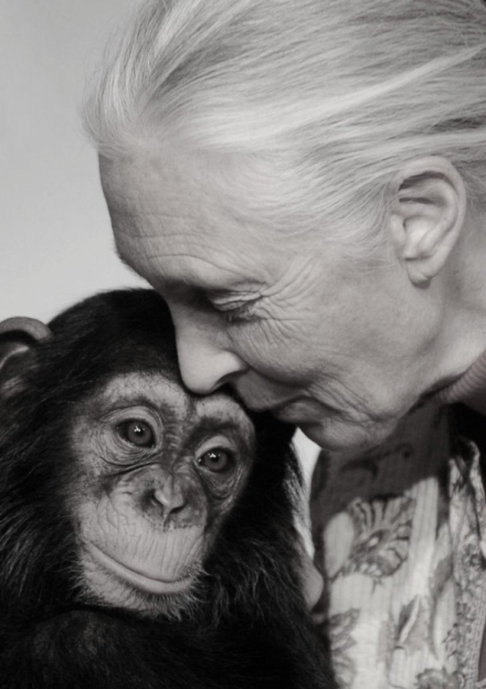 JAneGoodall03.jpg