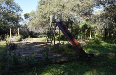El Parque Caraguatá convertido en cementerio de caballos: "Se mueren de hambre y de sed"