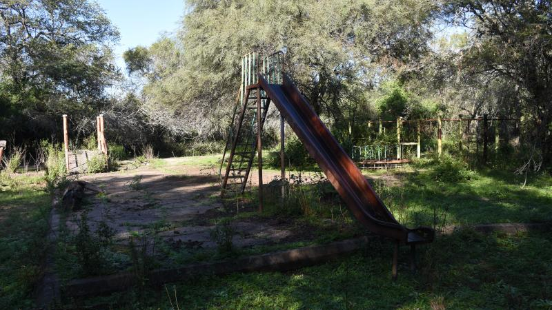 El Parque Caraguatá convertido en cementerio de caballos: "Se mueren de hambre y de sed"