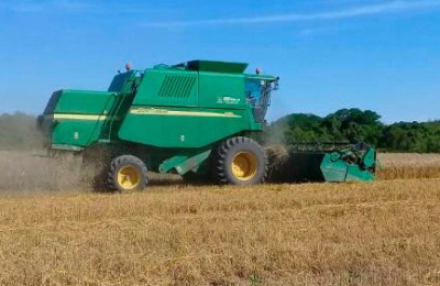El Chaco consolida una campaña agrícola y vuelve a apostar al crecimiento del algodón