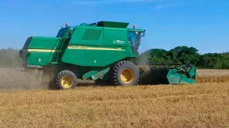 El Chaco consolida una campaña agrícola y vuelve a apostar al crecimiento del algodón