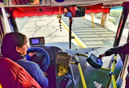 colectivo.jpg