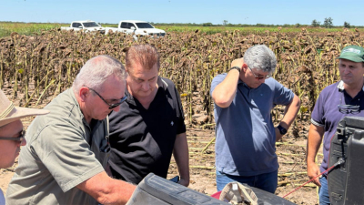 El ataque de palomas reúne a entidades, productores y legisladores en Santa Sylvina